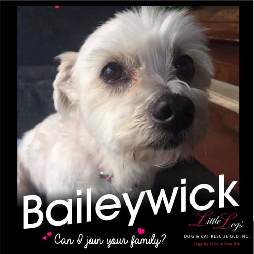 Baileywick