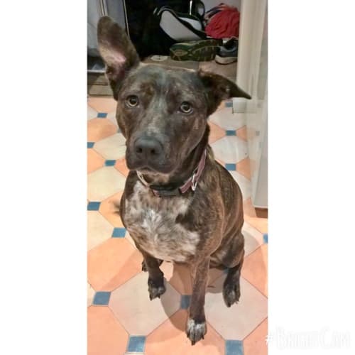 Luna ** A Divine Family Girl **