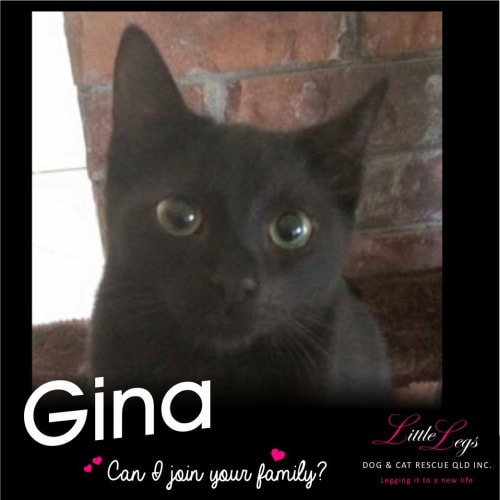 Gina