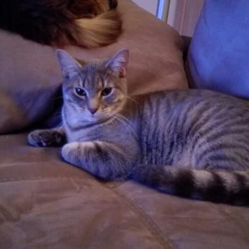 Jasper - A Beautiful Boy