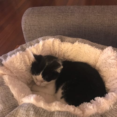 Max 