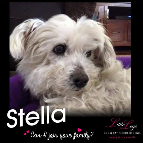 Stella