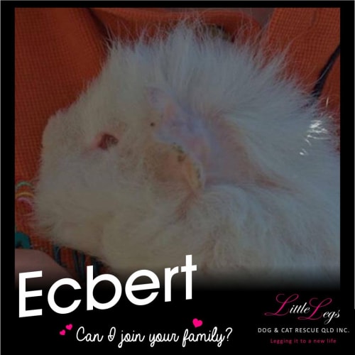 Ecbert