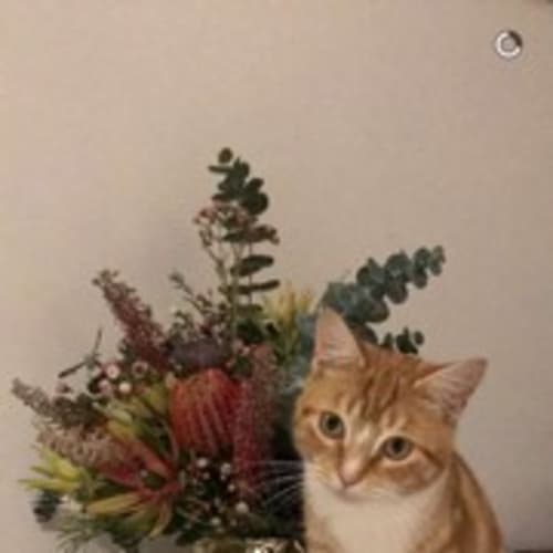 Benny