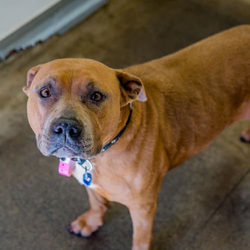 Violet & Kalee (3183 & 3186)