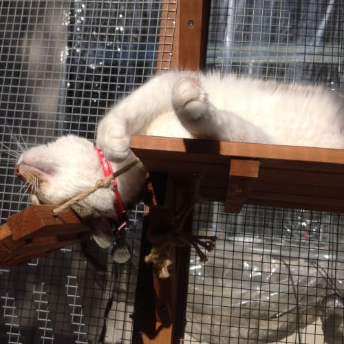 Fun loving playful Tammy