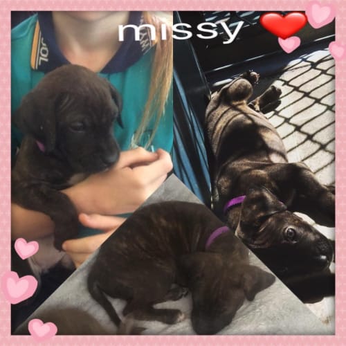Missy
