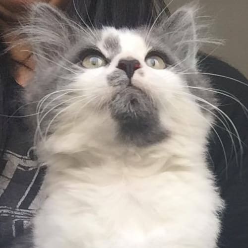 Beautiful Chloe