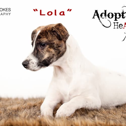 Lola