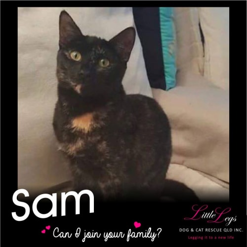 Sam