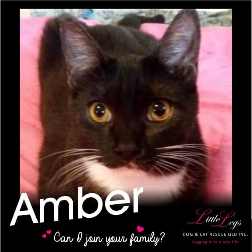 Amber