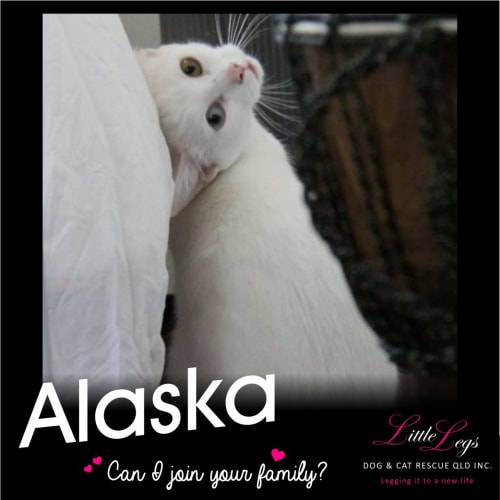 Alaska