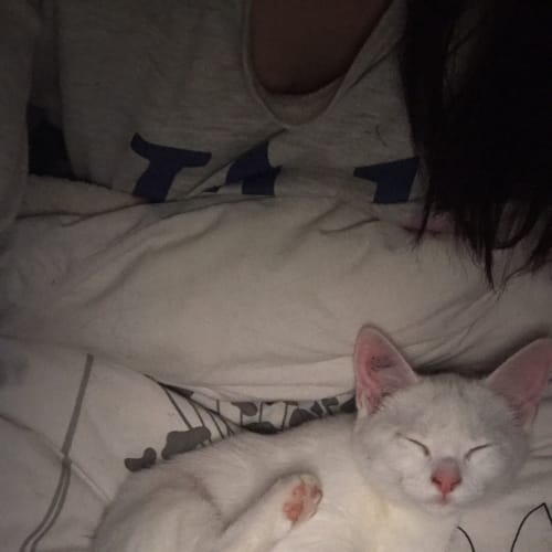 Mj