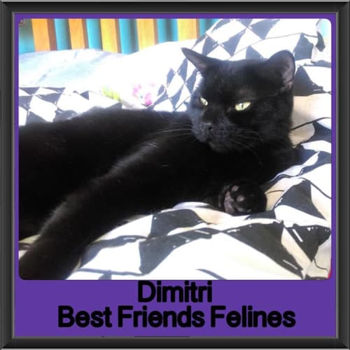 Dimitri
