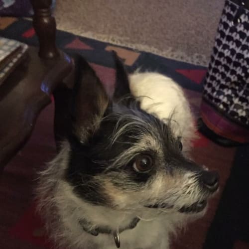 Zoe