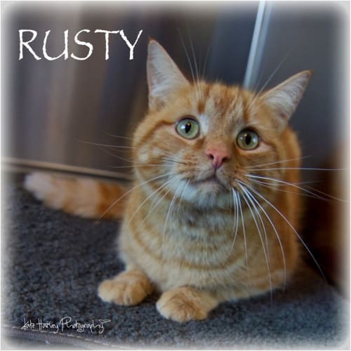 Rusty