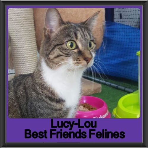 Lucy-Lou 