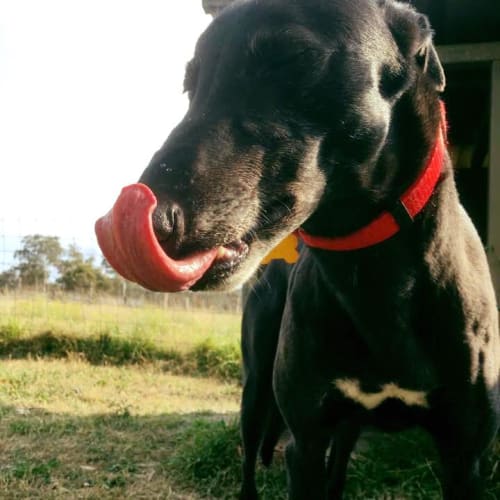 Max (On Trial 11 November)
