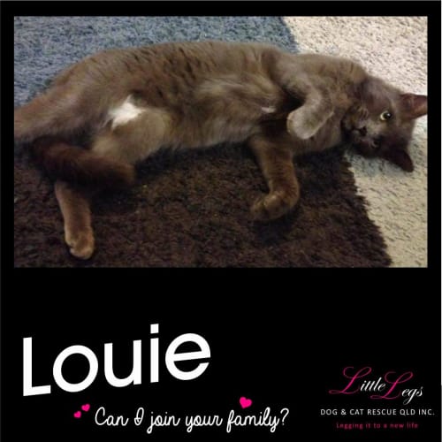 Louie