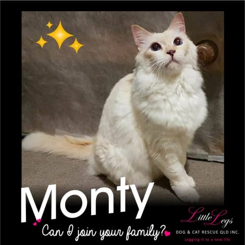 Monty