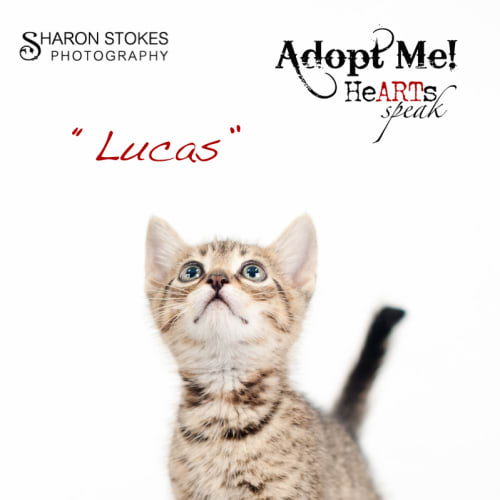 Lucas