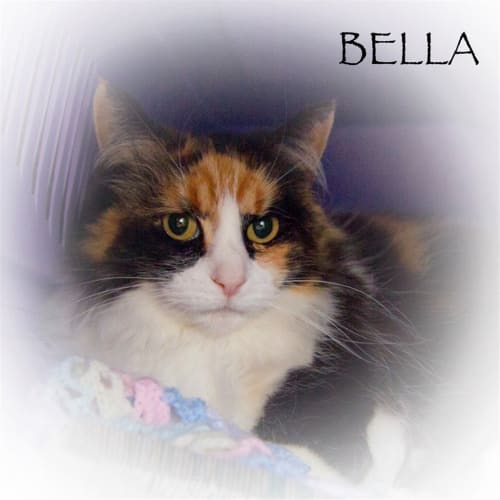 Bella