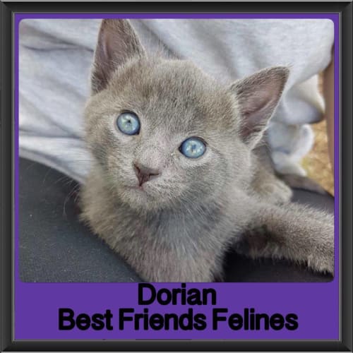 Dorian