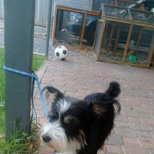 Jack