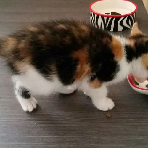Suzie