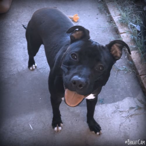 Kassie ** Lovely Natured Girl **