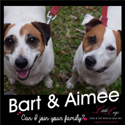 Bart and Aimee