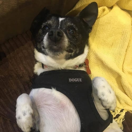 Zoe