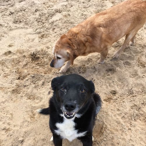 Jasper & Roxy Nolan