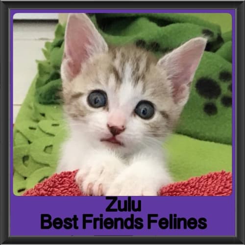Zulu