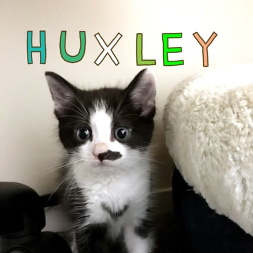 Huxley