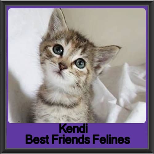 Kendi 