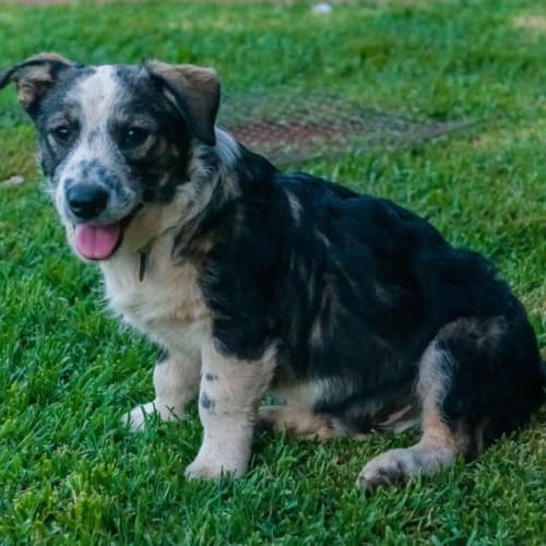 Budget - GD0044 *Adoption Pending