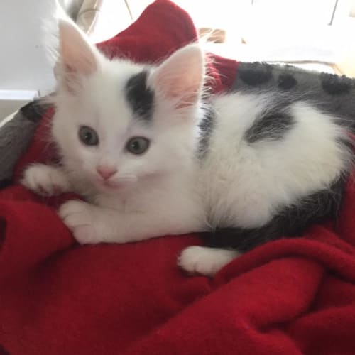 Luna
