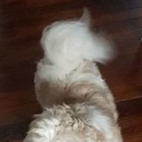 Eli (adoption pending)