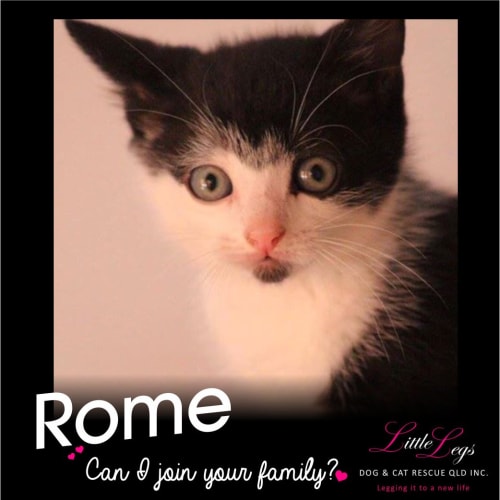 Rome