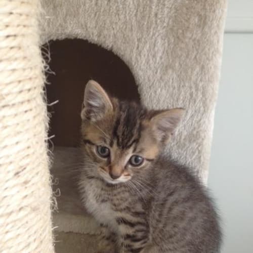 Theodore