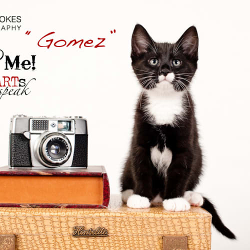 Gomez