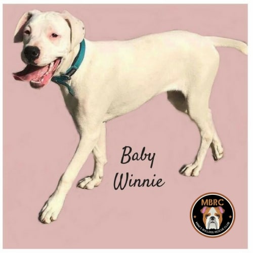 Winnie