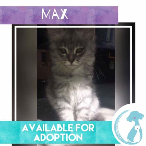 Max 