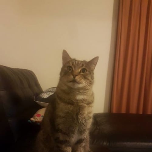 Bruce
