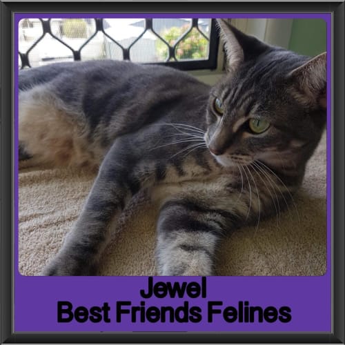 Jewel