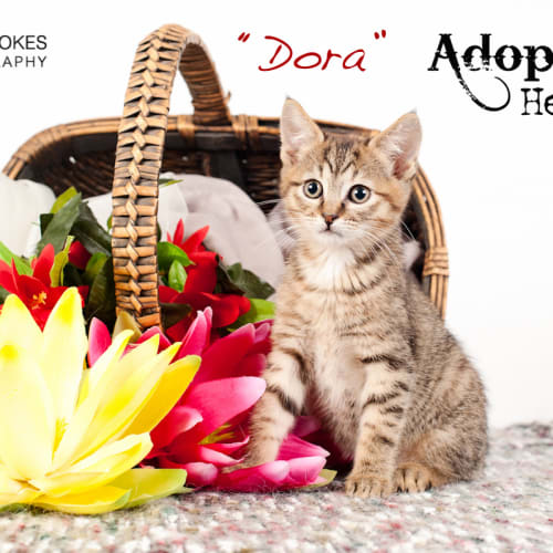 Dora
