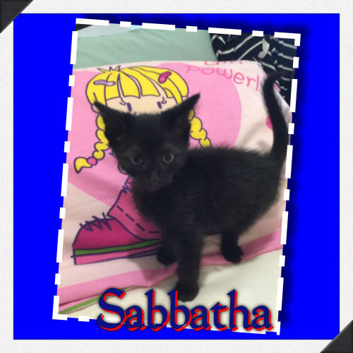 Sabbath