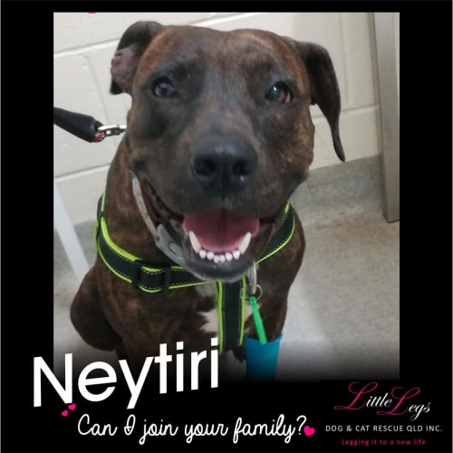 Neytiri