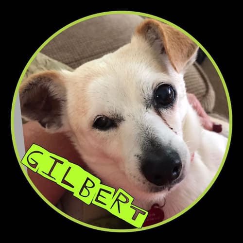 Gilbert